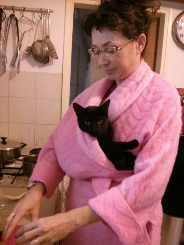 cats-enjoying-warmth-710__605