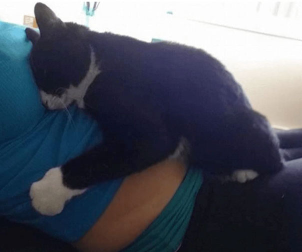 chat-garde-humain-01
