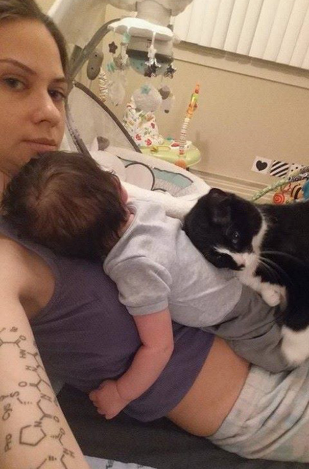 chat-garde-humain-05