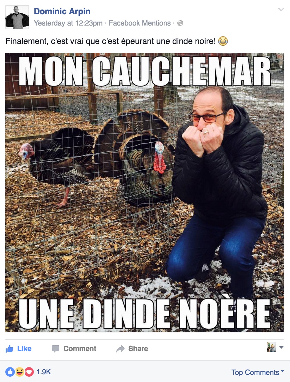 dominique-arpin-dinde