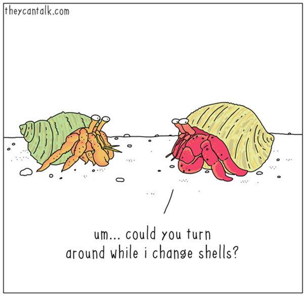 funny-animal-comics-they-can-talk-jimmy-craig-10-57469f7e5620b__605