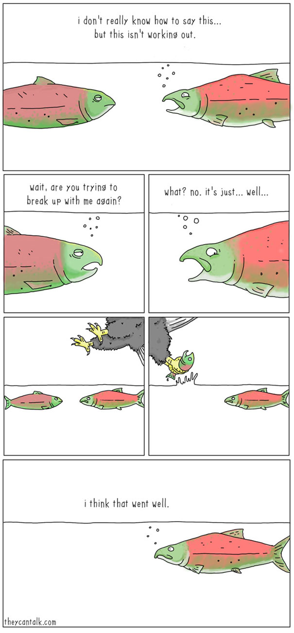 funny-animal-comics-they-can-talk-jimmy-craig-14-57469f868d6c6__605