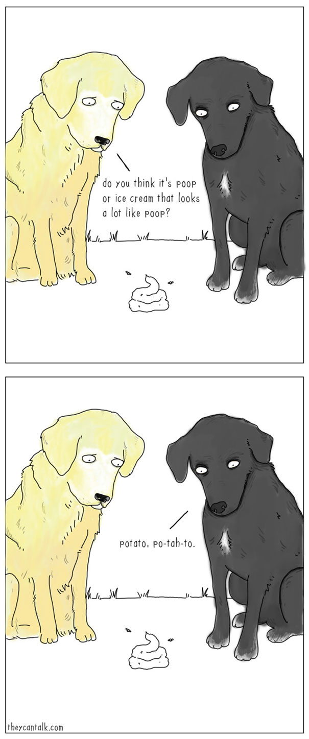 Here's what the animals would say if they could talk in 30 illustrations - Petit Petit Gamin Here's what the animals would say if they could talk in 30 illustrations - Petit Petit Gamin