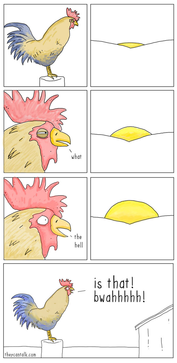 funny-animal-comics-they-can-talk-jimmy-craig-18-57469f927be01__605