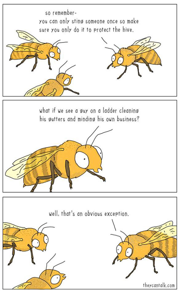 funny-animal-comics-they-can-talk-jimmy-craig-2-57469f703c3e2__605