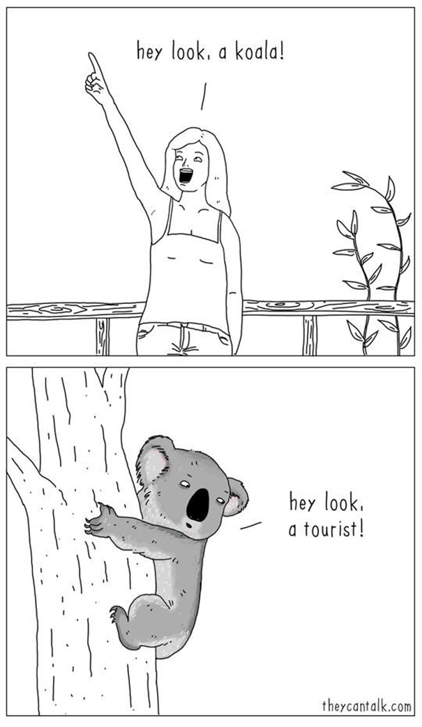 funny-animal-comics-they-can-talk-jimmy-craig-20-57469f96616fe__605