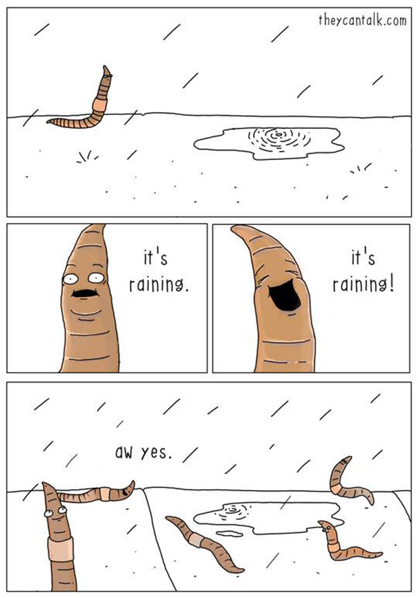 funny-animal-comics-they-can-talk-jimmy-craig-22-57469f9c59359__605