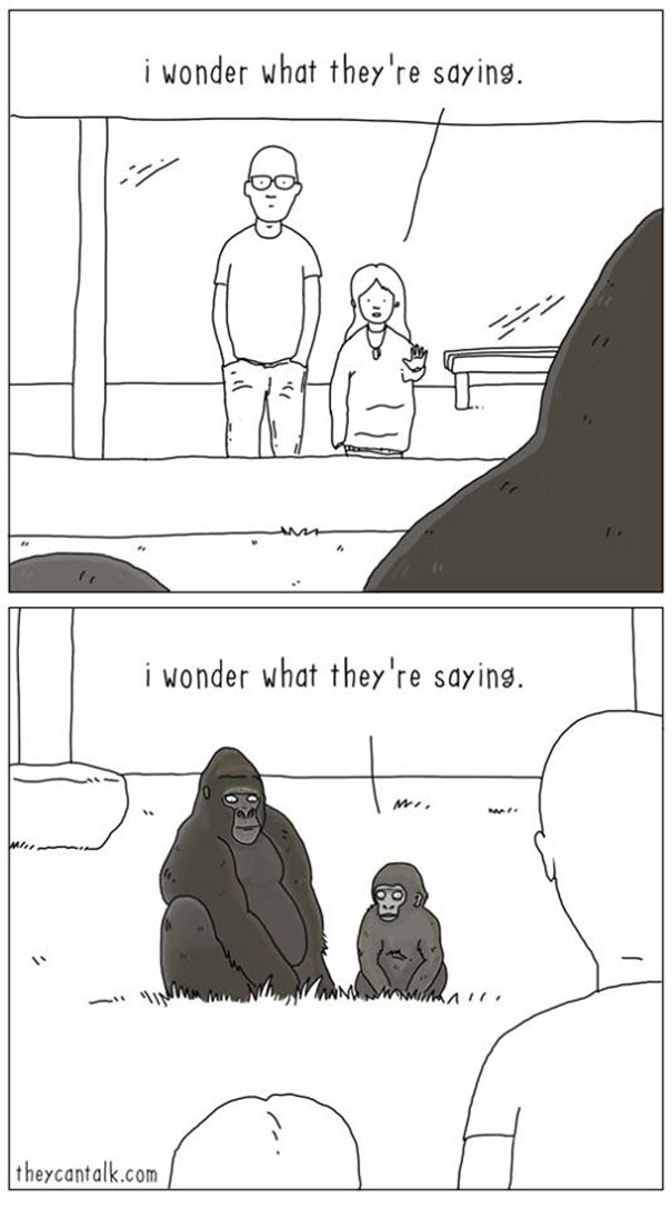 funny-animal-comics-they-can-talk-jimmy-craig-23-57469f9f62663__605