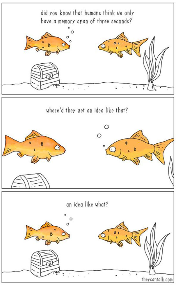 funny-animal-comics-they-can-talk-jimmy-craig-29-57469fb09e2af__605