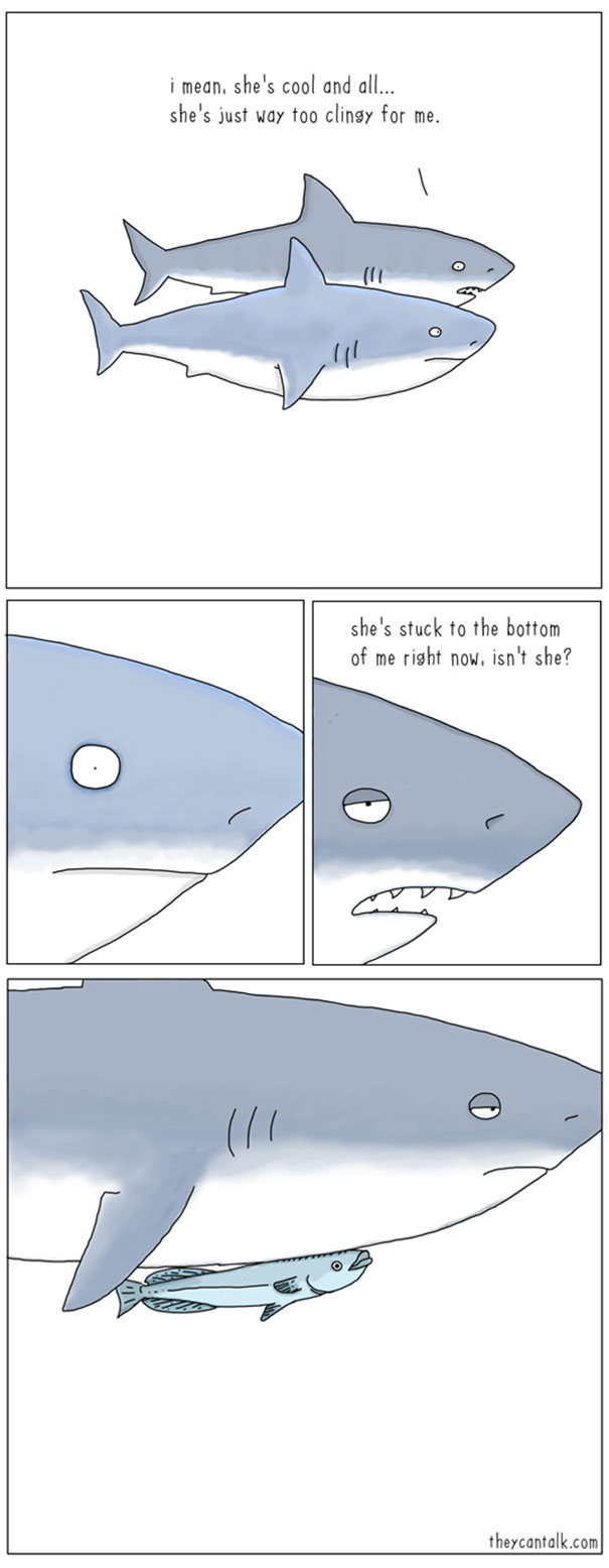 funny-animal-comics-they-can-talk-jimmy-craig-36-5746a603f2c2a__605