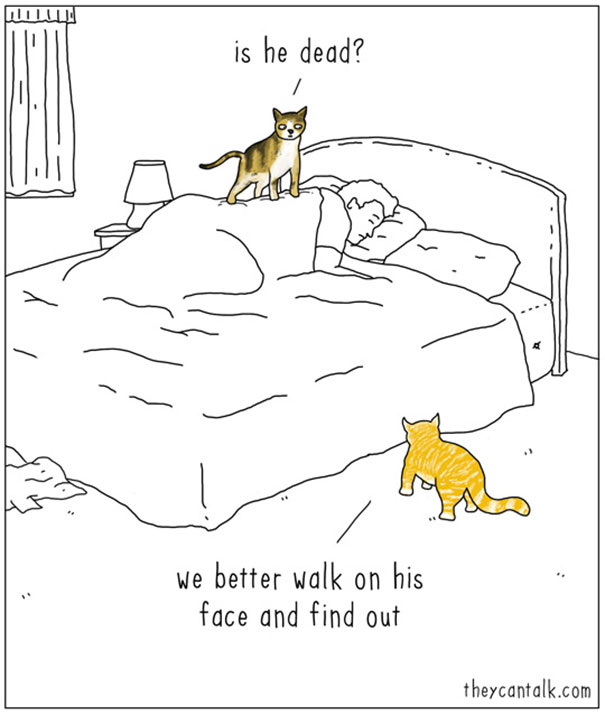 funny-animal-comics-they-can-talk-jimmy-craig-4-57469f7456097__605