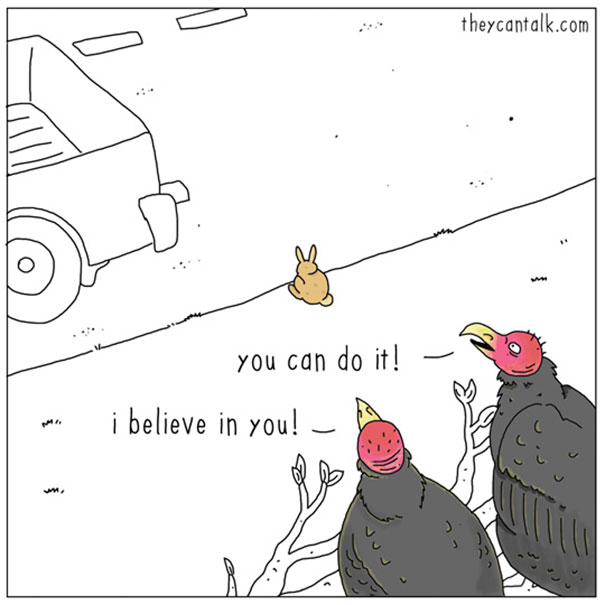 funny-animal-comics-they-can-talk-jimmy-craig-6-57469f770cb50__605