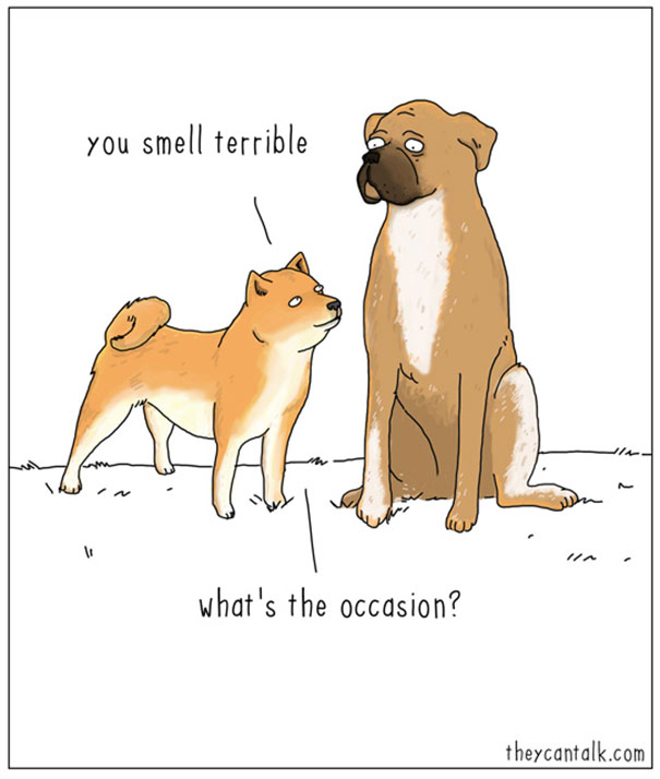 funny-animal-comics-they-can-talk-jimmy-craig-8-57469f7a498ba__605