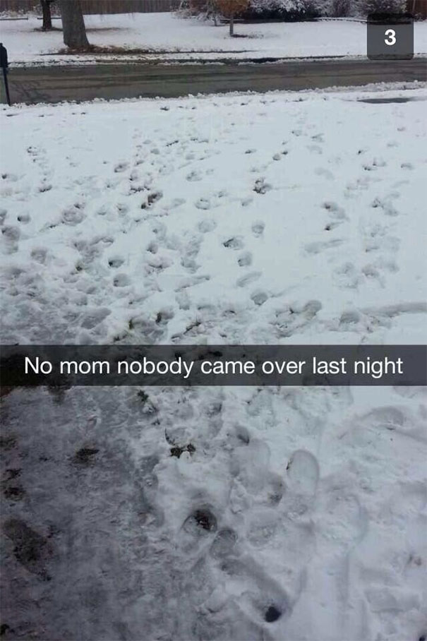 funny-snapchats-40-57723839da0cb__605