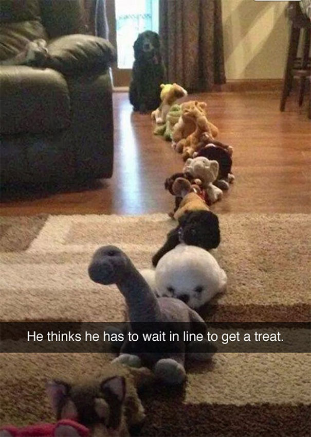 funny-snapchats-44-57723a9906e1d__605