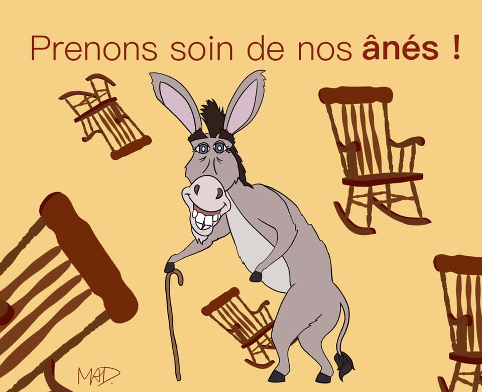 Des jeux de mots avec le nom des animaux pour expliquer la situation