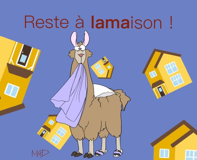 Des jeux de mots avec le nom des animaux pour expliquer la situation actuelle Petit Petit Gamin