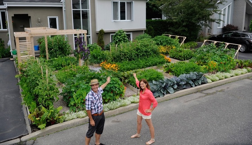 Ils Font Un Jardin Urbain Devant Leur Maison A Drummondville Petit Petit Gamin Ils Font Un Jardin Urbain Devant Leur Maison A Drummondville Petit Petit Gamin