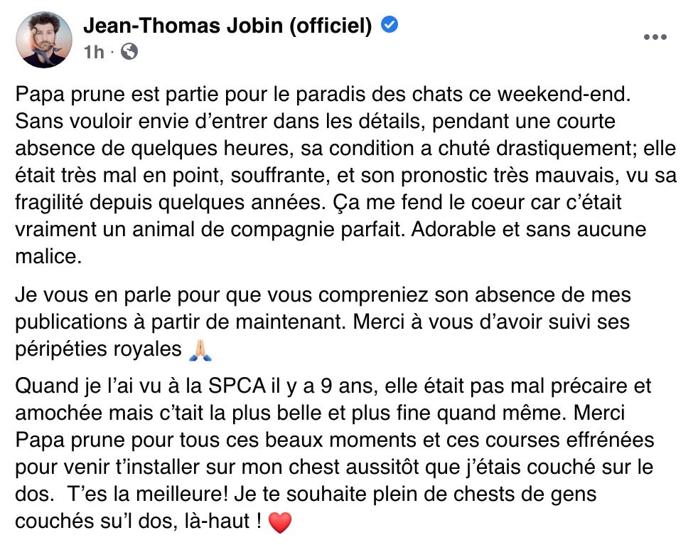 Jean Thomas Jobin Announces That Her Cat Papa Prune Has Died